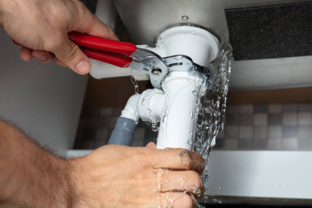 Best Professional water damage repair  in Charleston, WV