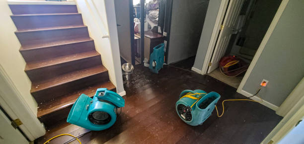 Best Flooded house restoration  in Charleston, WV