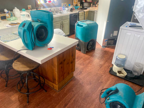 Best Sewage cleanup and water damage restoration  in Charleston, WV