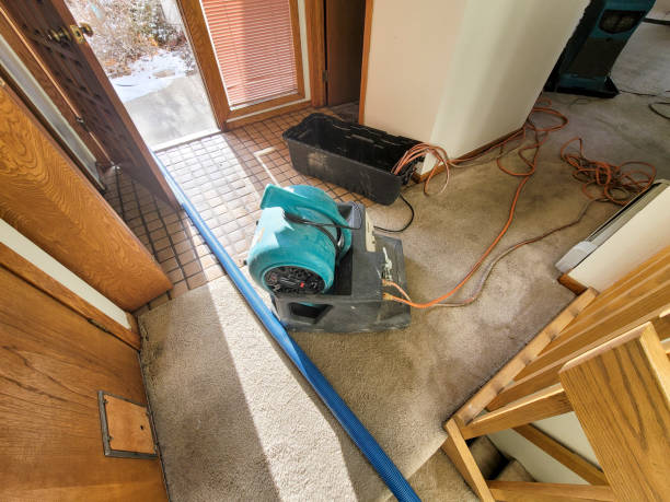 Best Sewage cleanup and water damage restoration  in Charleston, WV