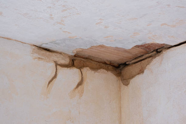 Best Commercial water damage restoration  in Charleston, WV