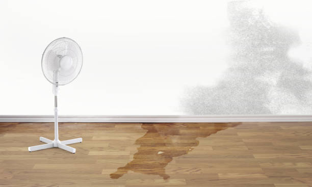 Best Flood restoration services  in Charleston, WV