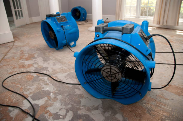 Carpet water damage restoration in Charleston, WV