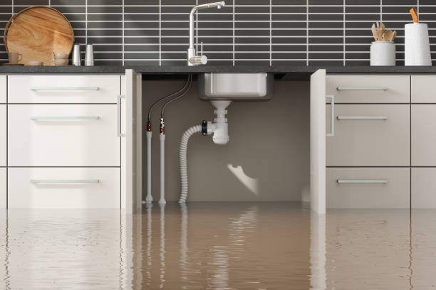 Best Flooded house restoration  in Charleston, WV