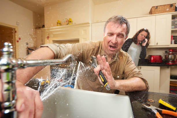 Best Mold removal after water damage  in Charleston, WV